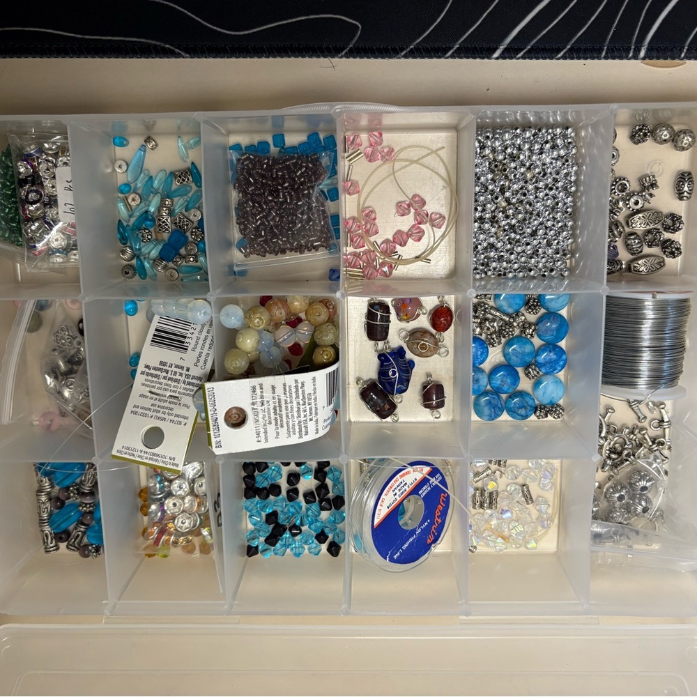 Multi-Compartment Clear Storage Organizer With A Ton Of Beads